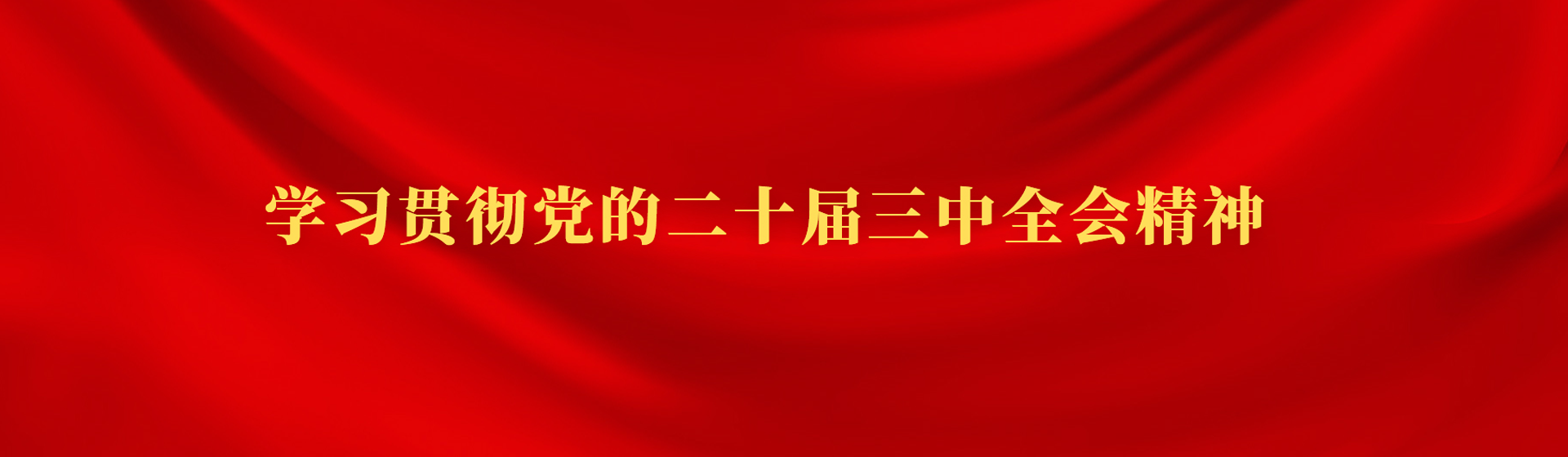 學(xué)習(xí)貫徹黨的二十屆三中全會精神