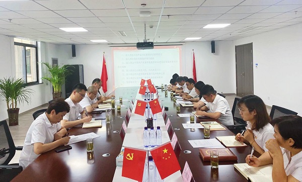 王晟督導徽鹽地產霍邱項目支部專題組織生活會