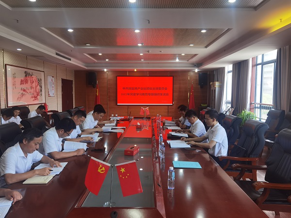 高廣飛督導徽鹽地產集團定遠項目黨支部組織生活會